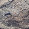 inscription of siglum CSNS 777