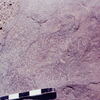 inscription of siglum CSNS 778