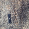 inscription of siglum CSNS 778