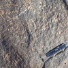 inscription of siglum CSNS 778
