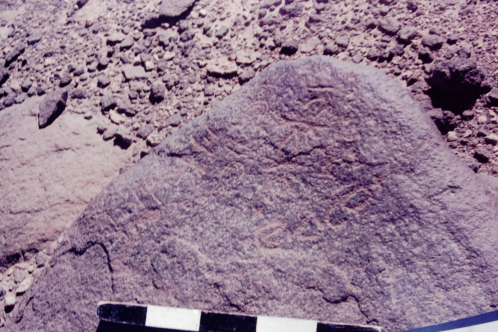 inscription of siglum CSNS 781