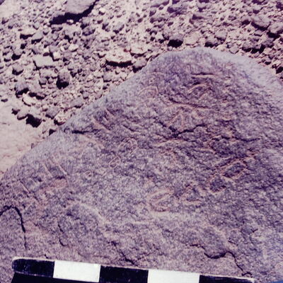 inscription of siglum CSNS 782