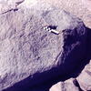 inscription of siglum CSNS 783