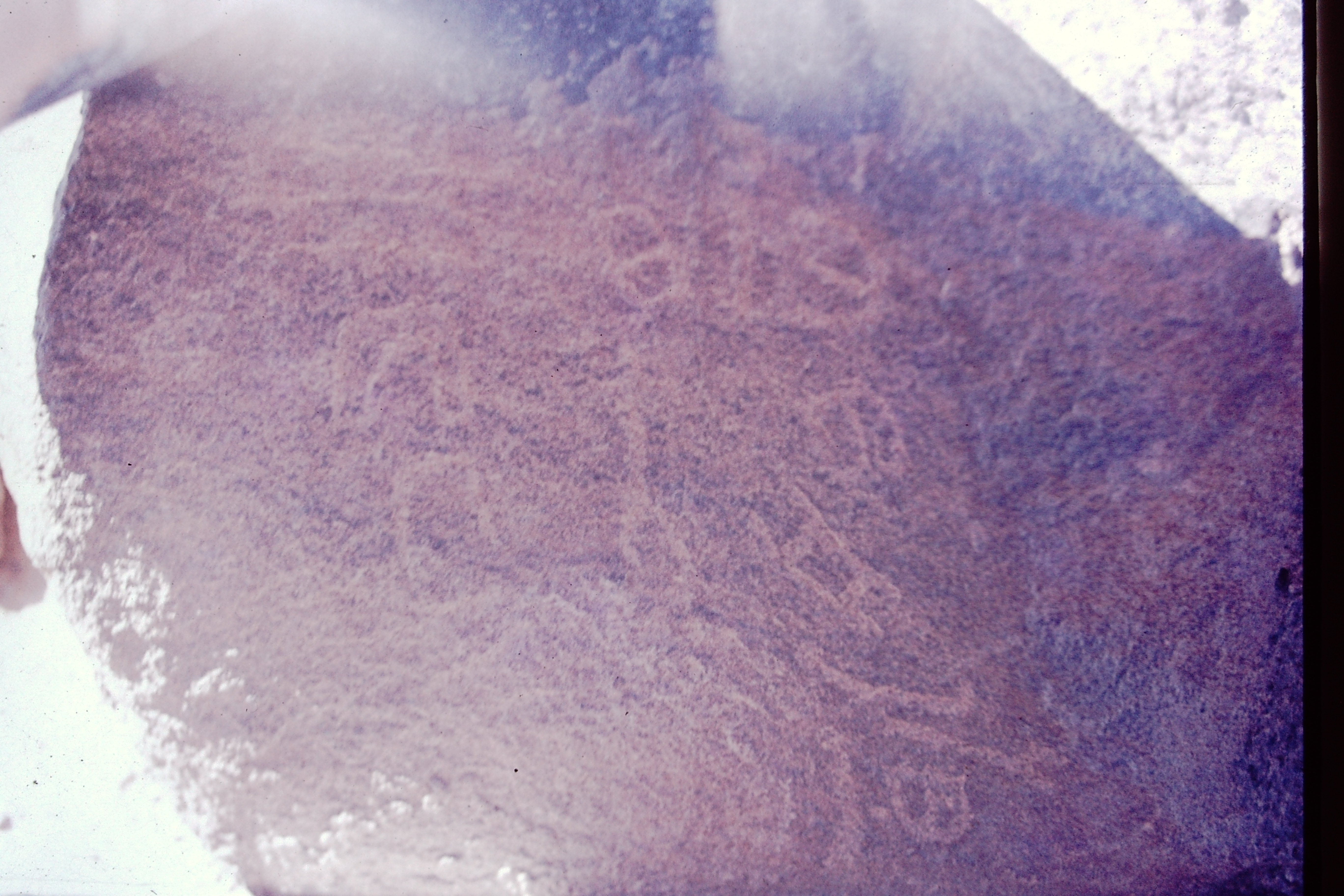 inscription of siglum CSNS 785
