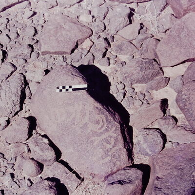 inscription of siglum CSNS 786