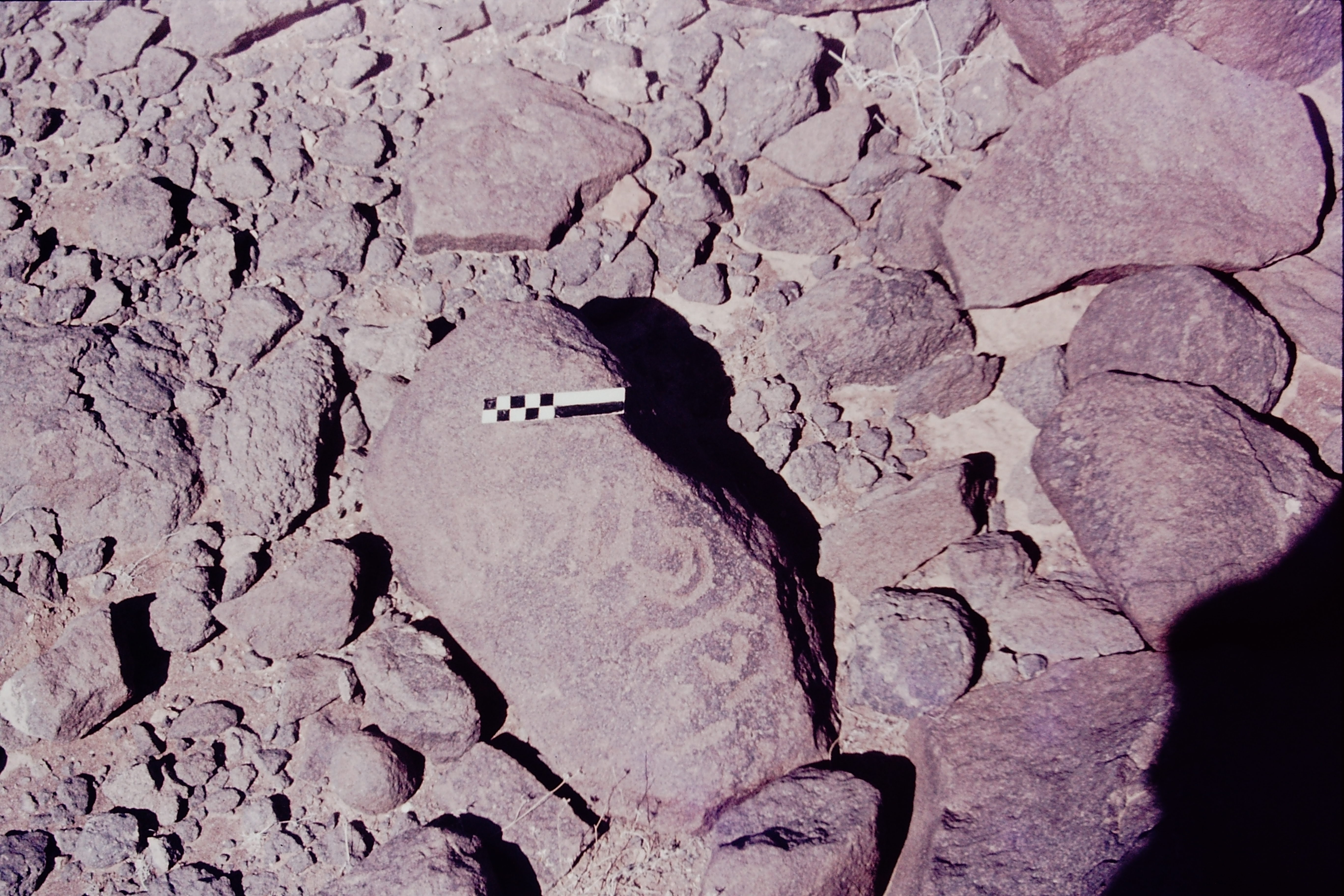 inscription of siglum CSNS 786