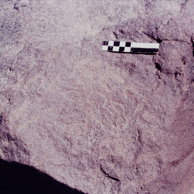 inscription of siglum CSNS 787