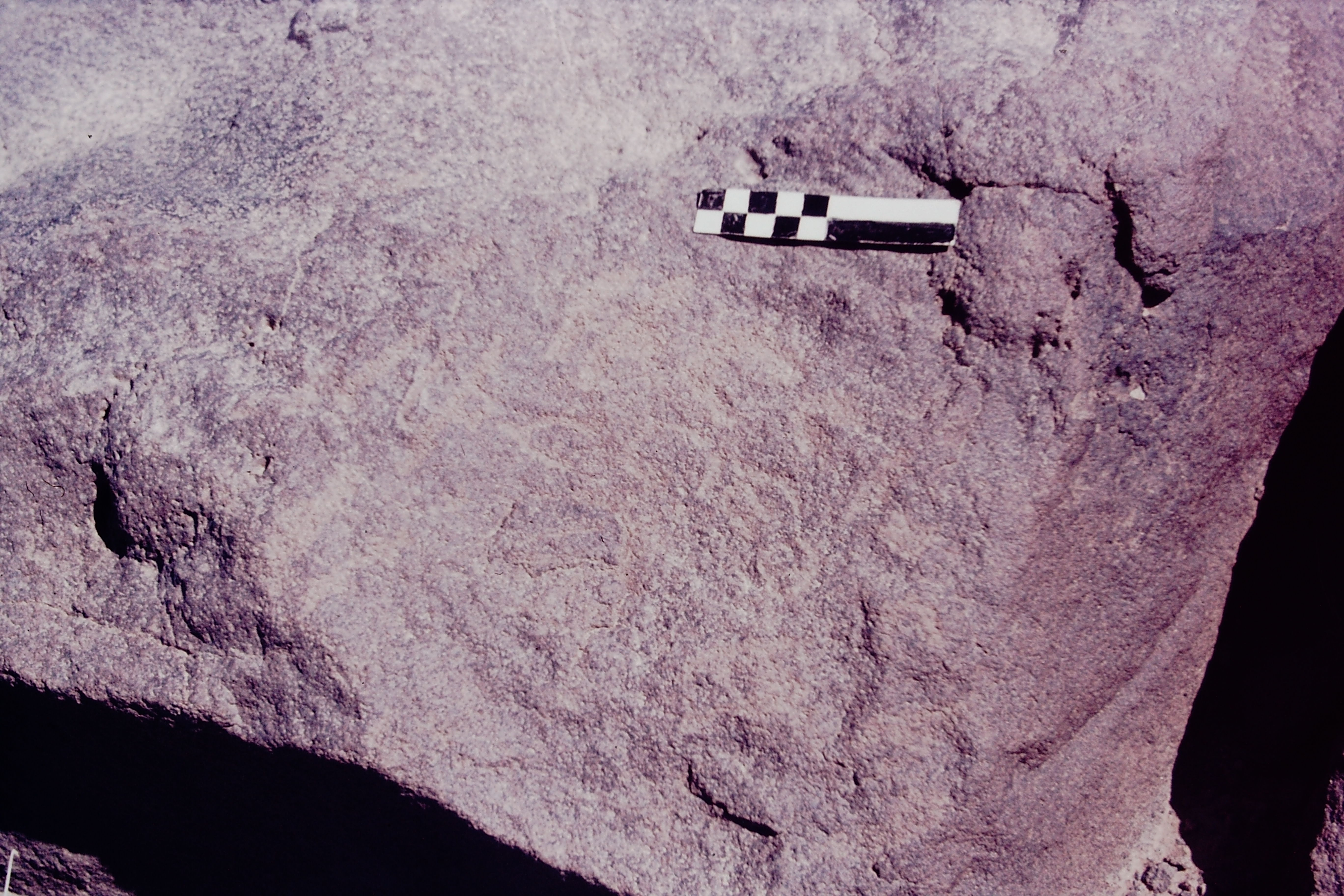 inscription of siglum CSNS 788