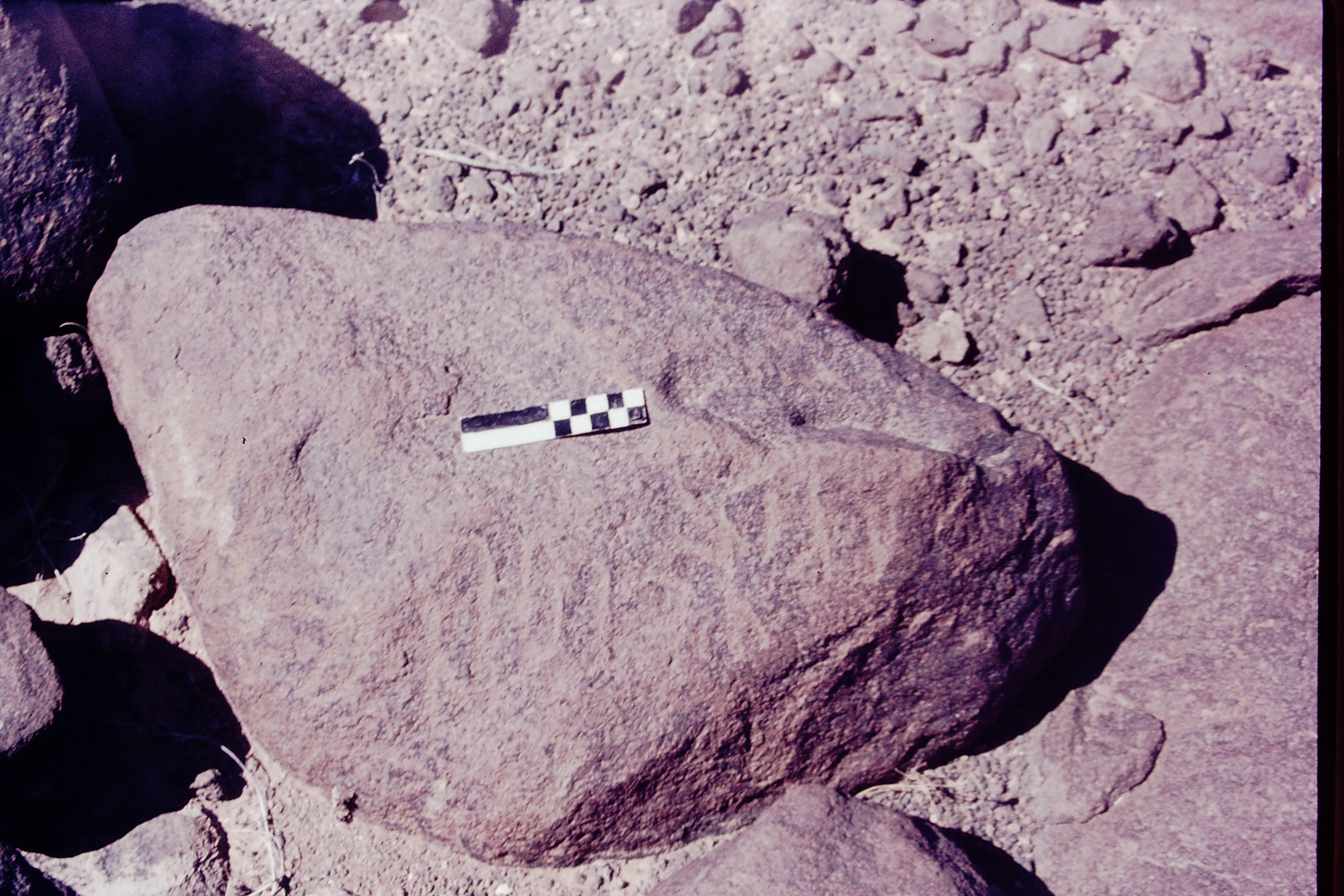 inscription of siglum CSNS 794