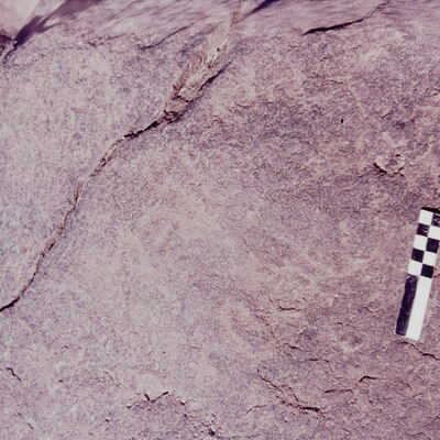 inscription of siglum CSNS 795