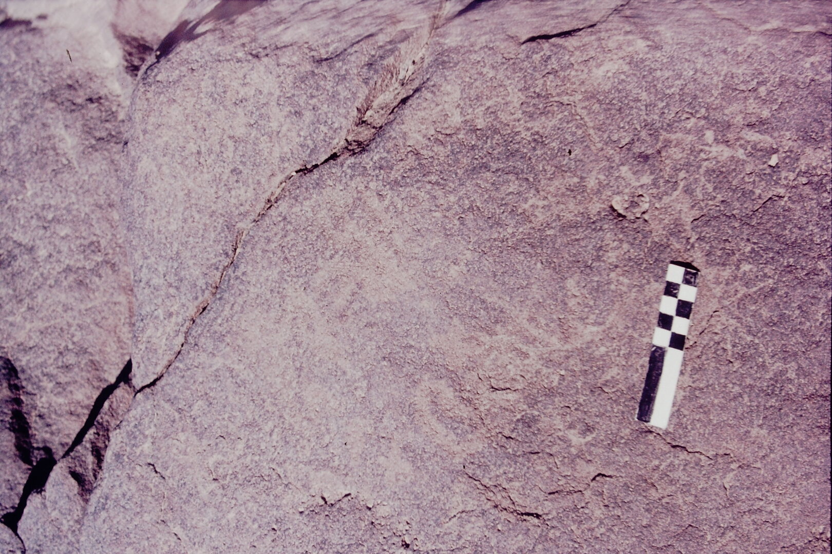 inscription of siglum CSNS 795