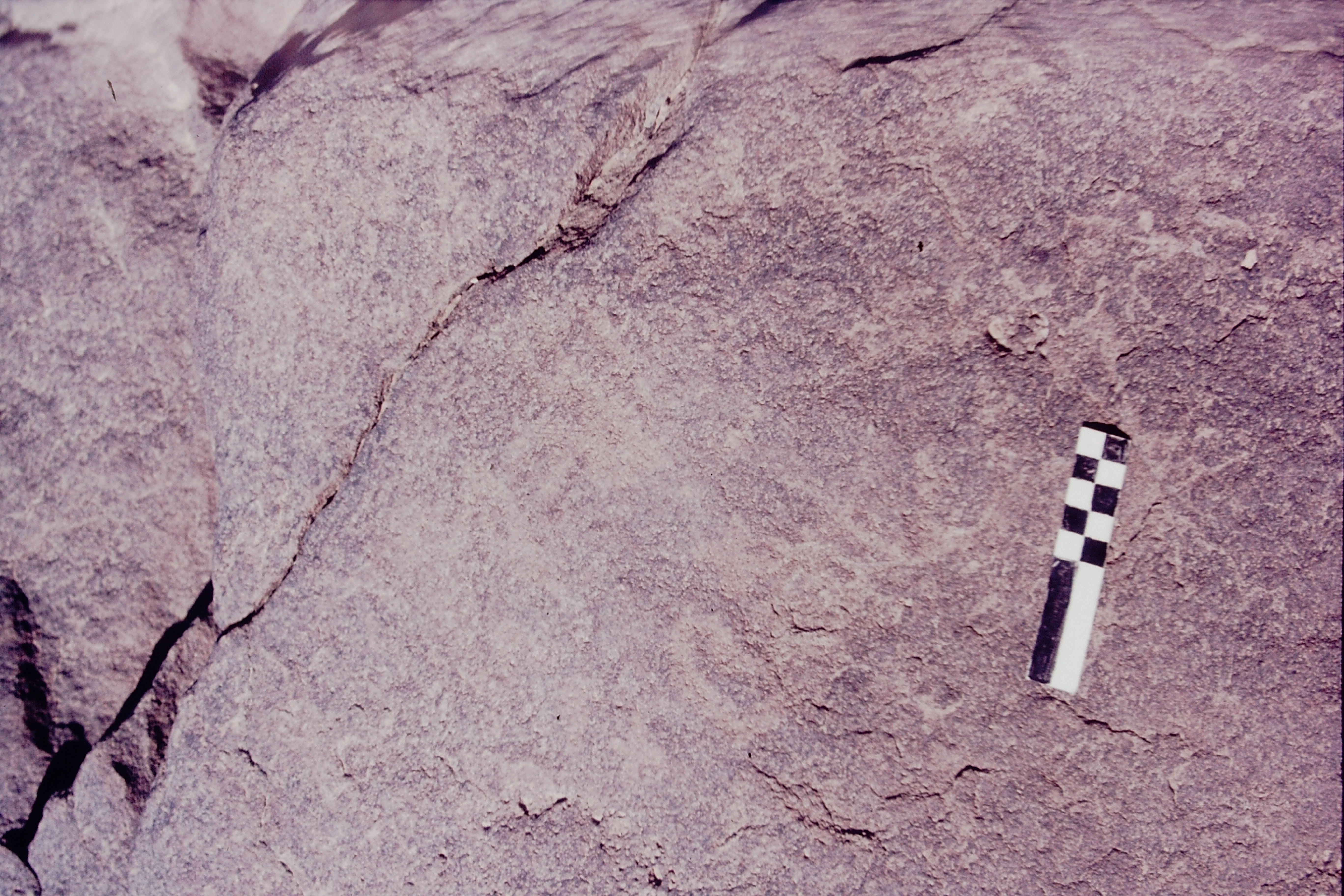 inscription of siglum CSNS 795