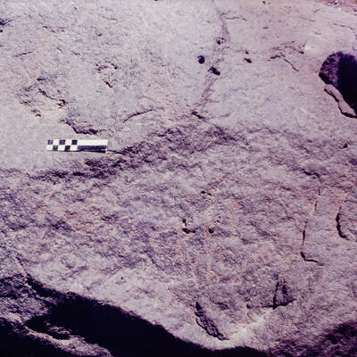 inscription of siglum CSNS 801