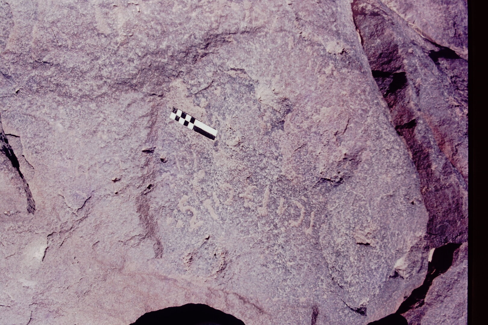 inscription of siglum CSNS 801
