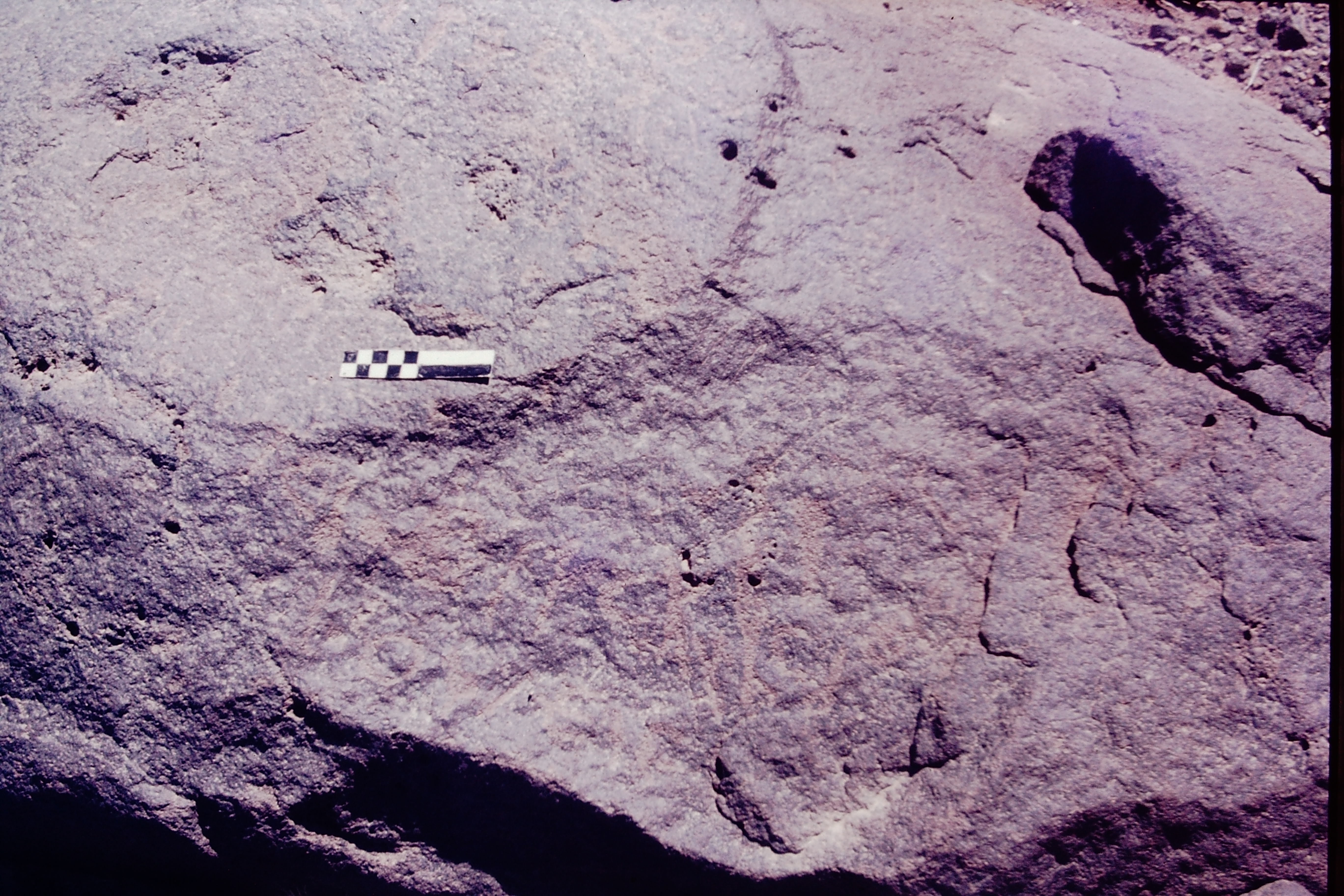 inscription of siglum CSNS 801