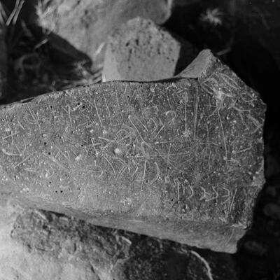 inscription of siglum CSNS 81