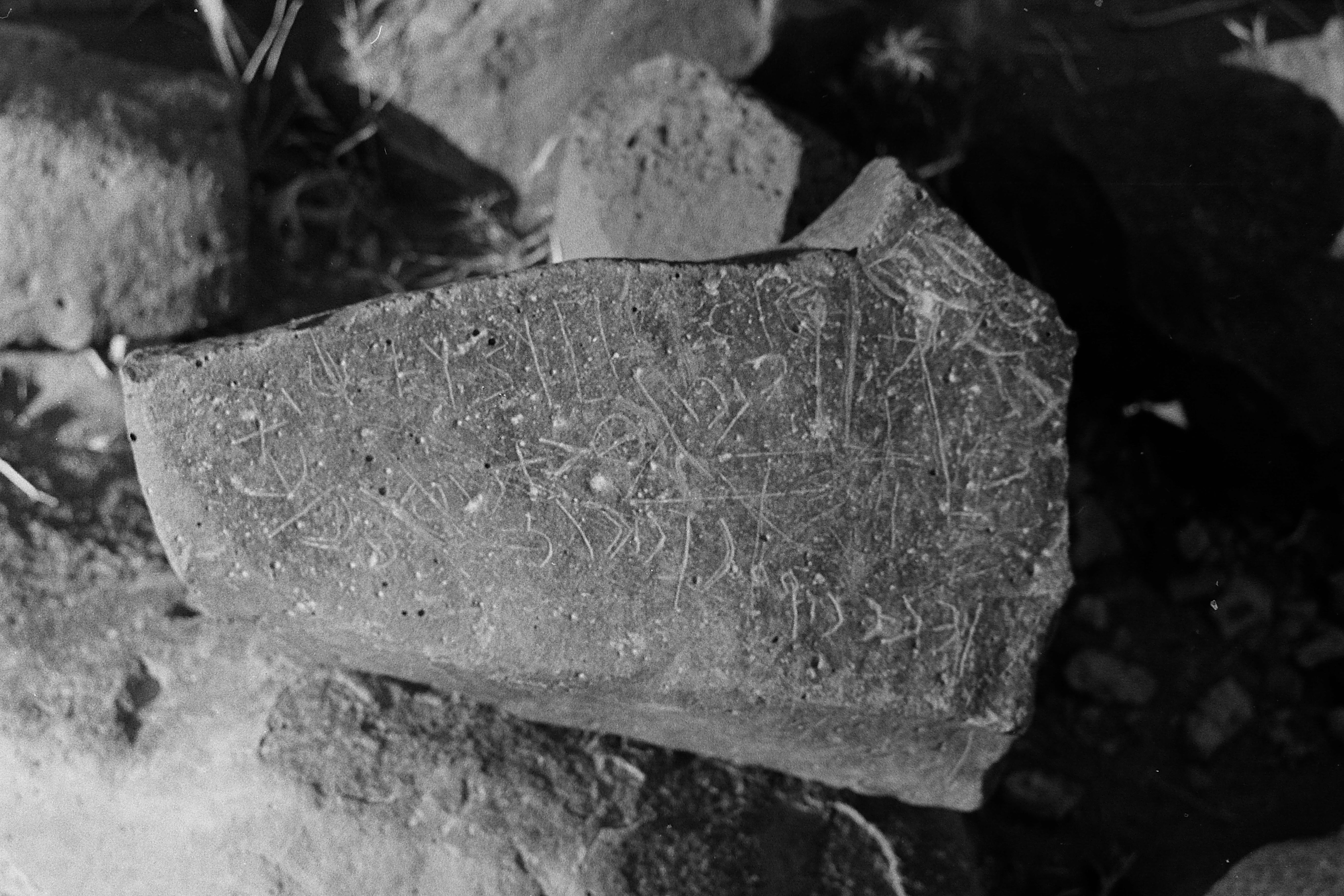 inscription of siglum CSNS 81