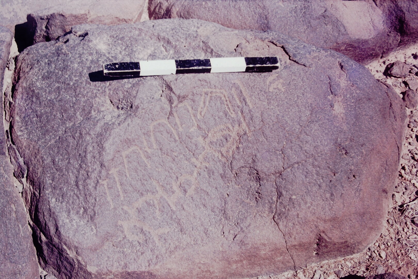 inscription of siglum CSNS 810
