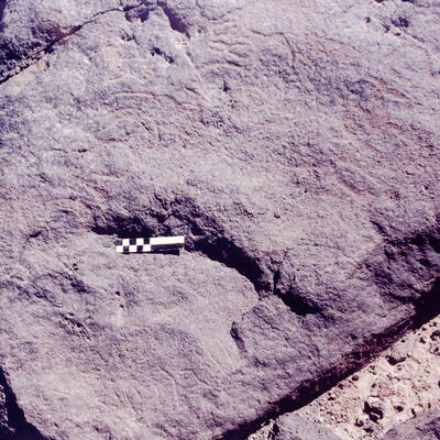 inscription of siglum CSNS 811