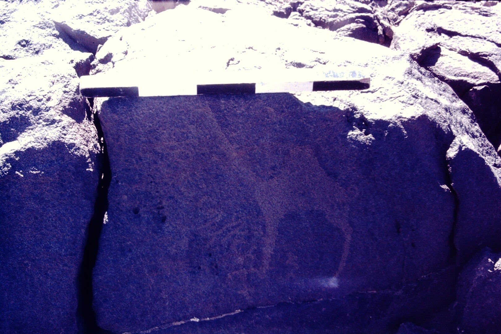 inscription of siglum CSNS 817