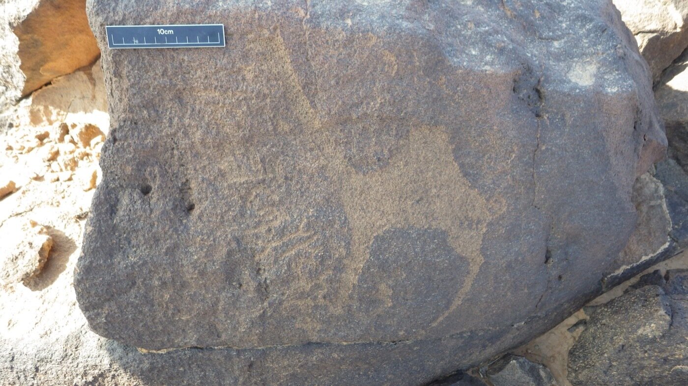 inscription of siglum CSNS 817