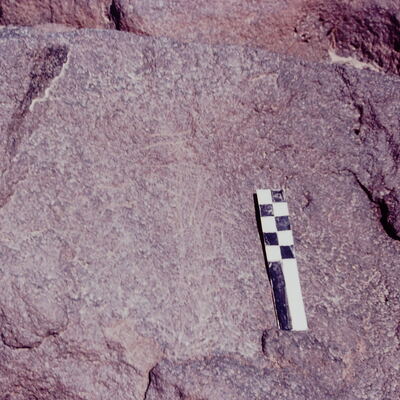 inscription of siglum CSNS 818