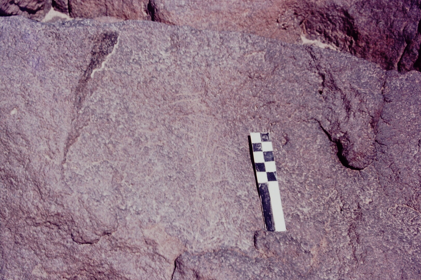 inscription of siglum CSNS 818