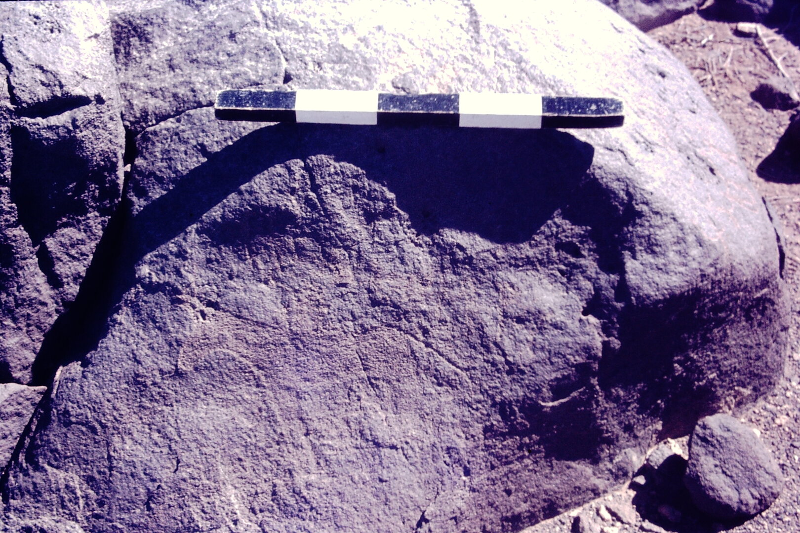 inscription of siglum CSNS 819