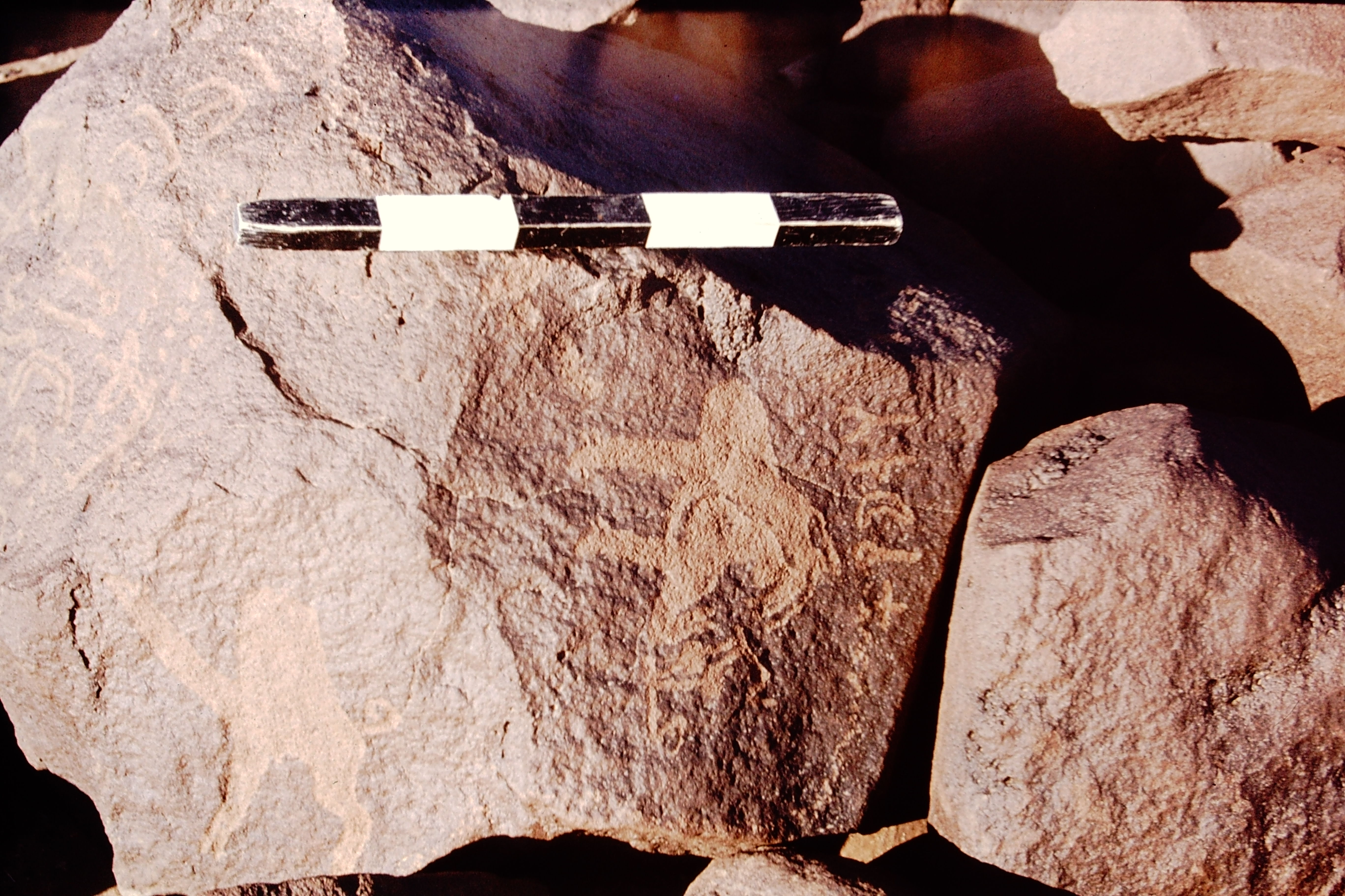 inscription of siglum CSNS 820