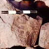 inscription of siglum CSNS 820