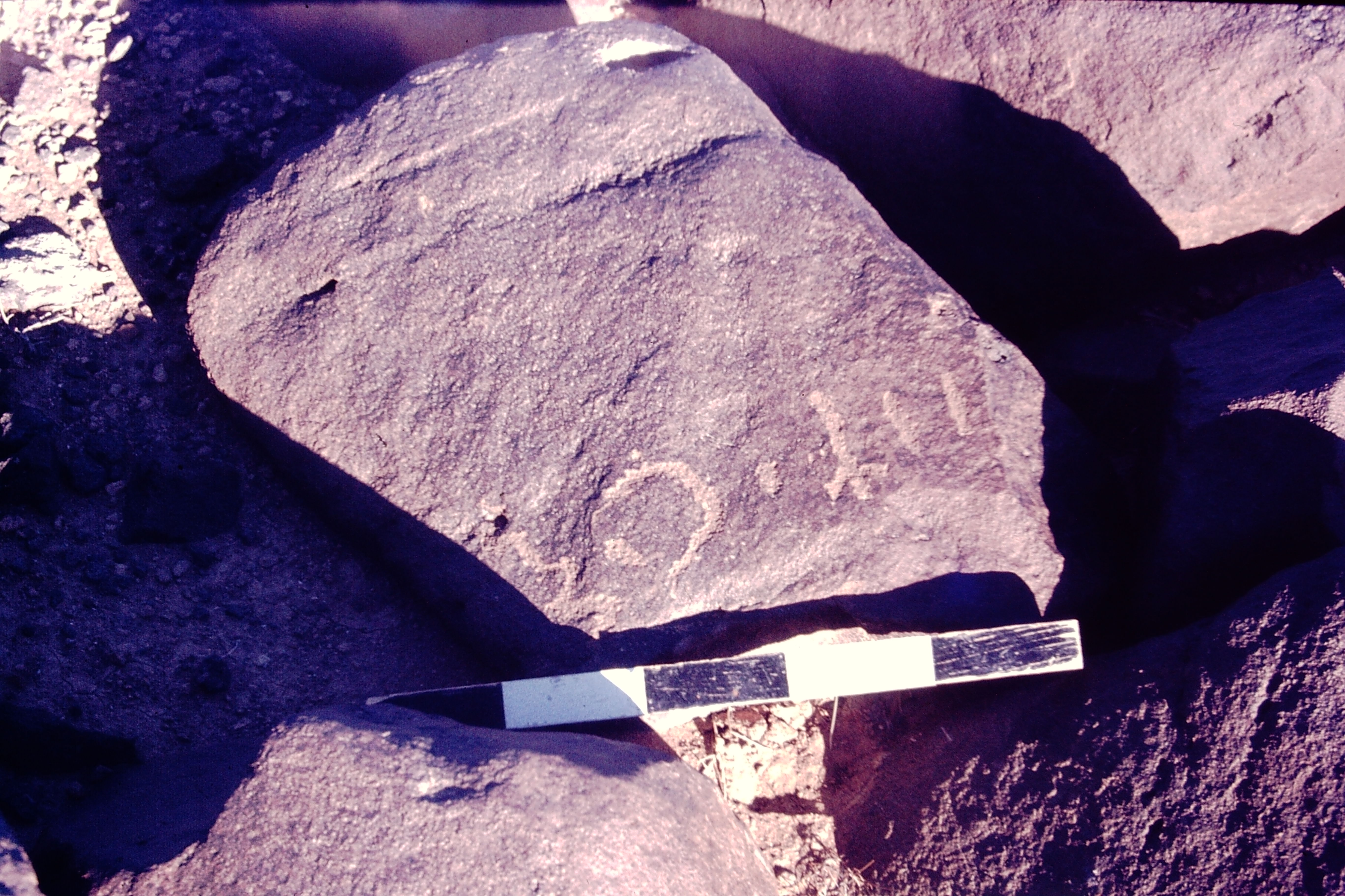 inscription of siglum CSNS 823