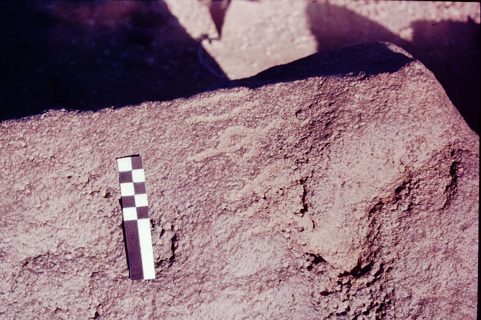 inscription of siglum CSNS 824