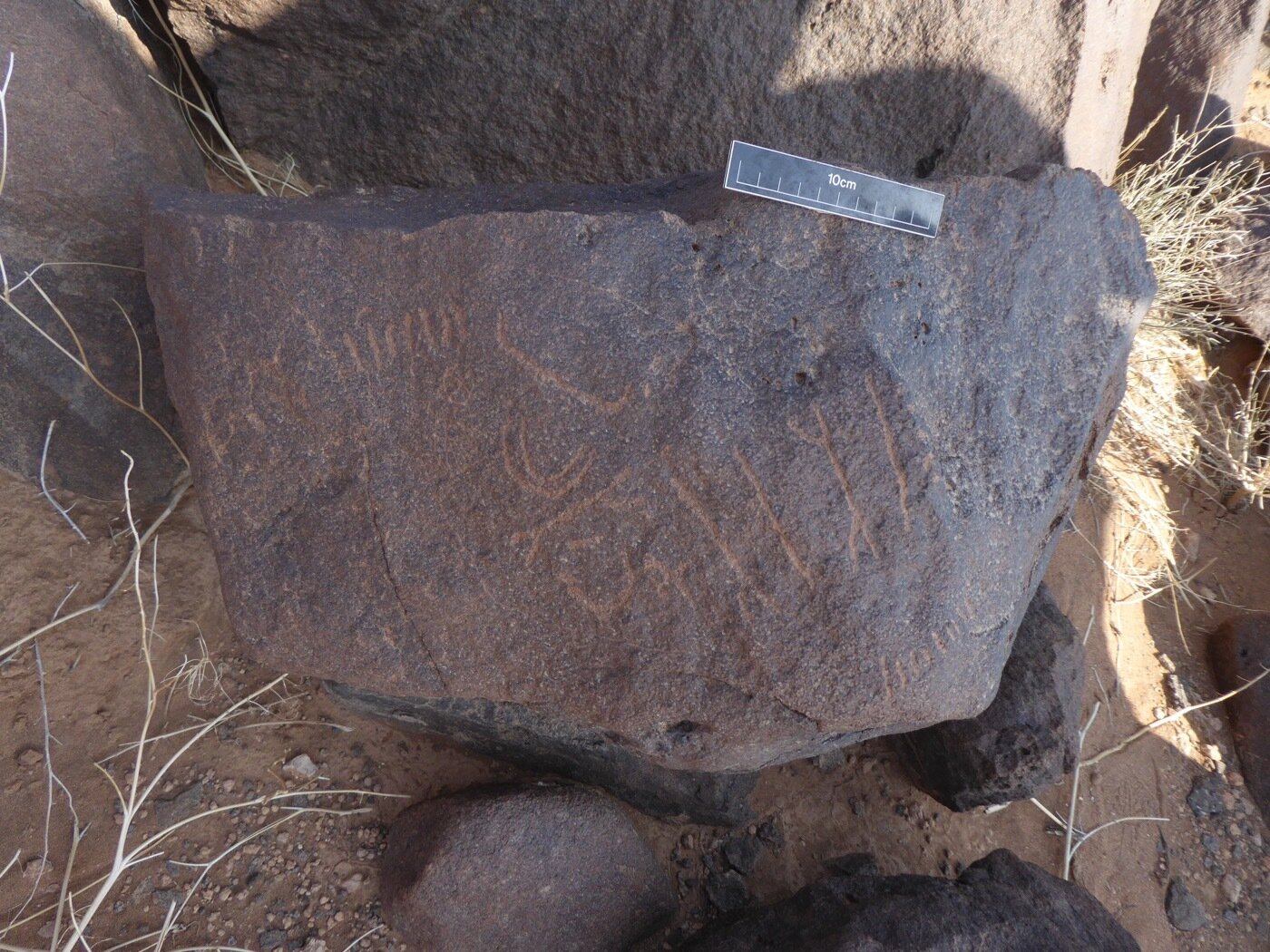 inscription of siglum CSNS 825