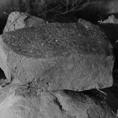 inscription of siglum CSNS 83