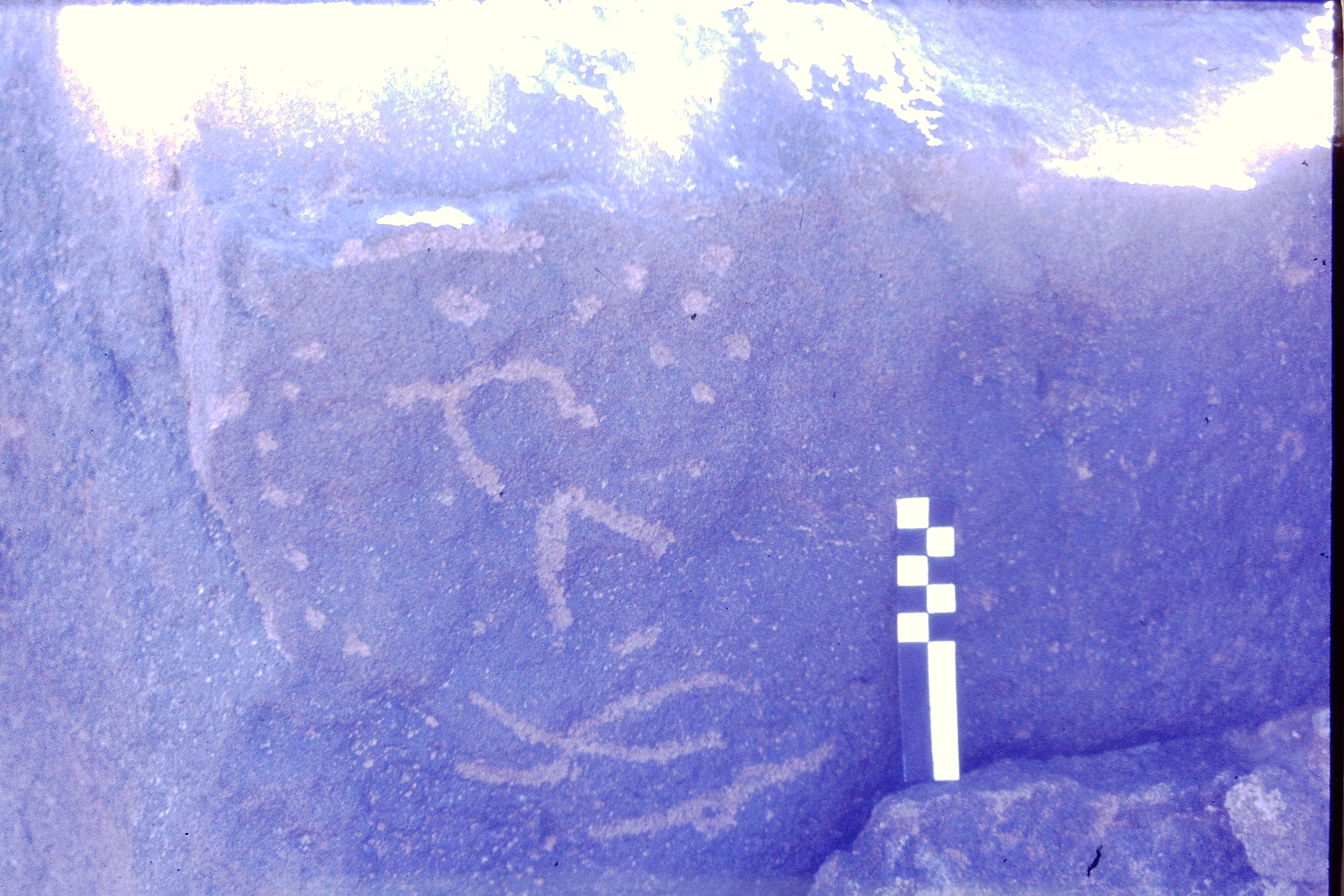 inscription of siglum CSNS 830