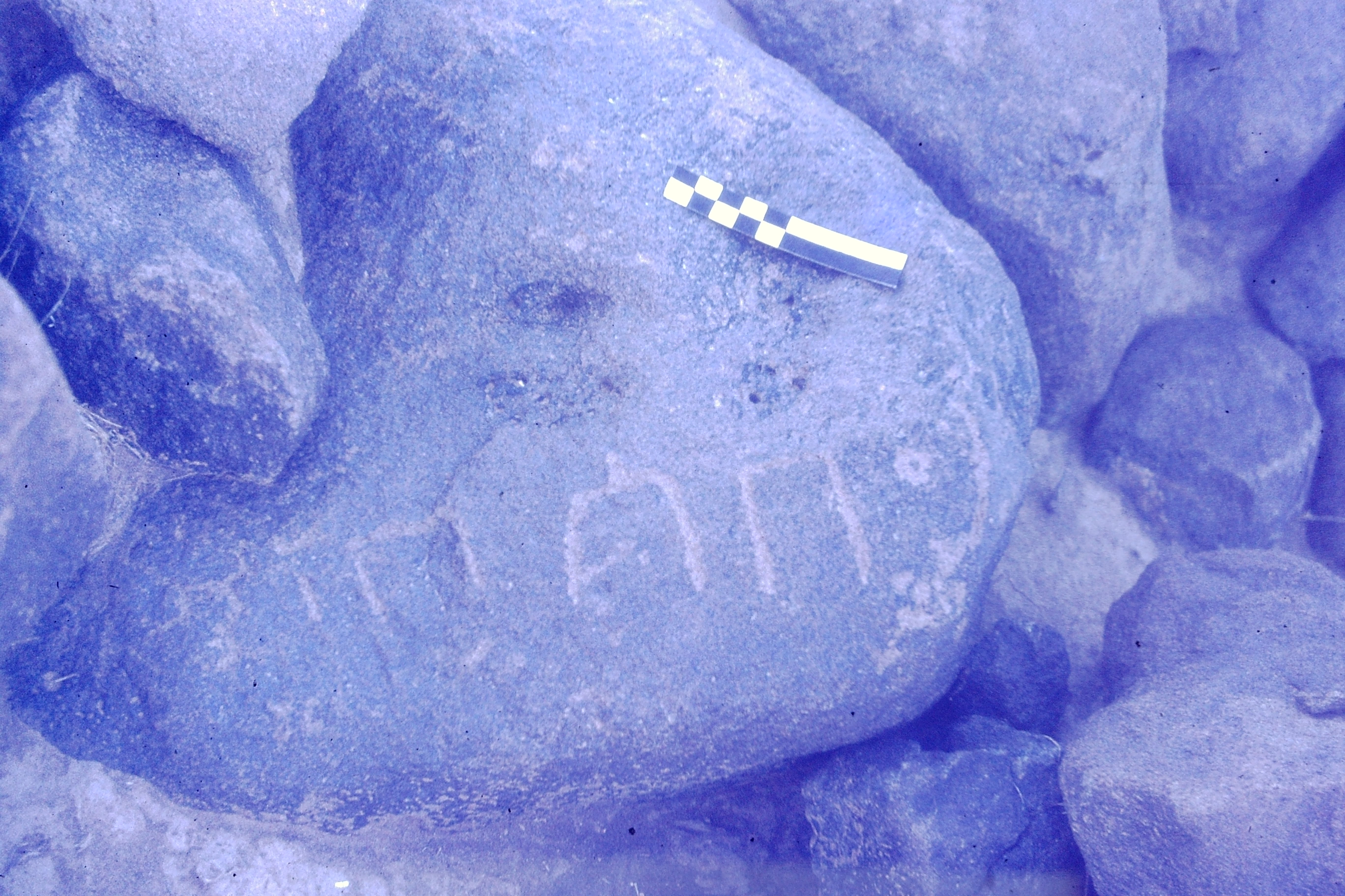 inscription of siglum CSNS 831