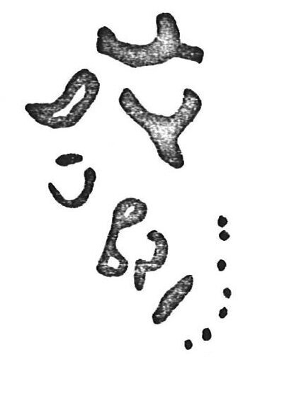 inscription of siglum CSNS 833