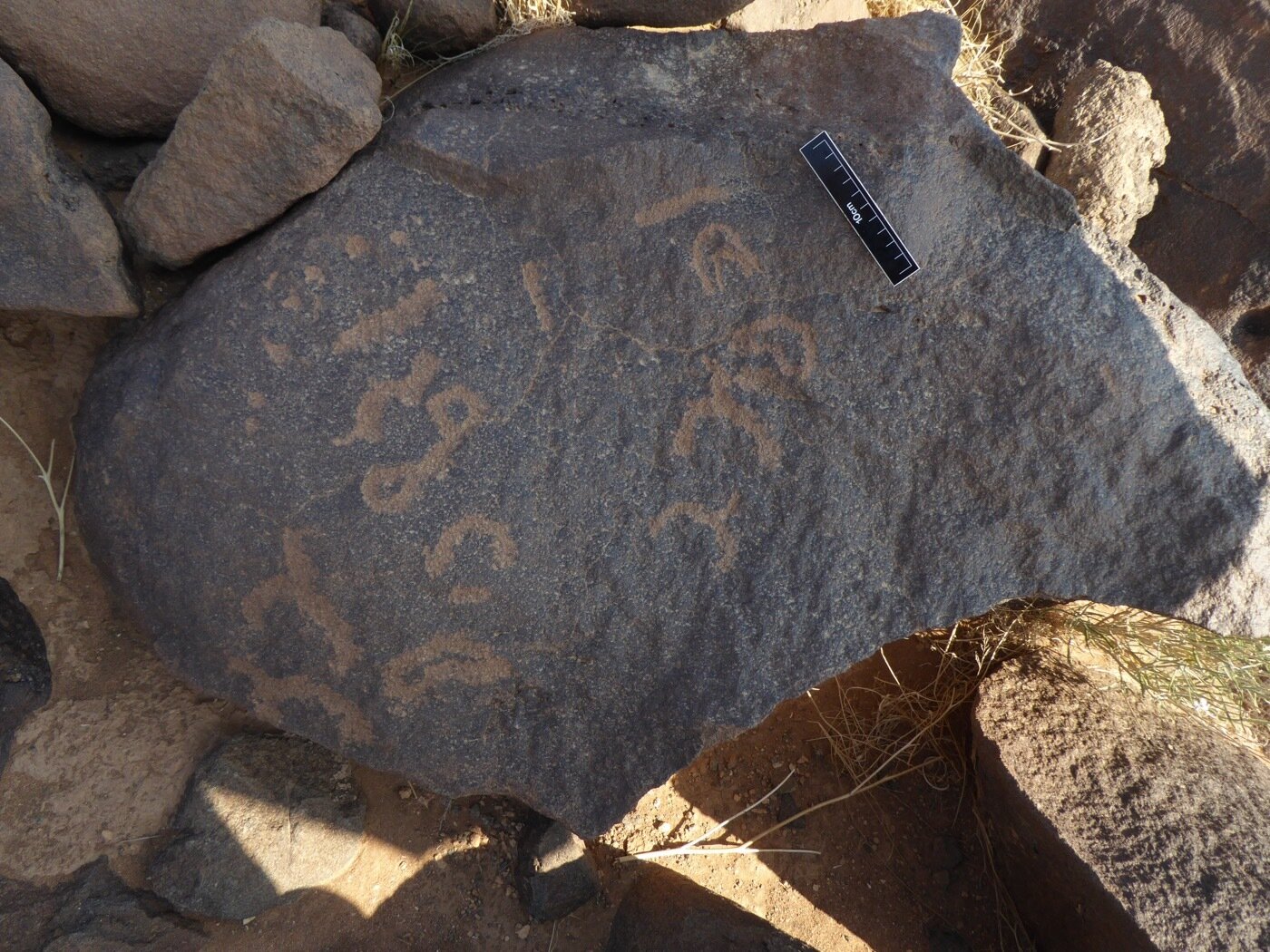 inscription of siglum CSNS 833