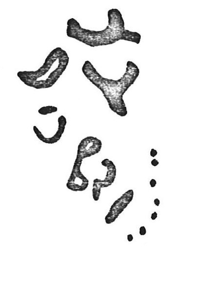 inscription of siglum CSNS 833