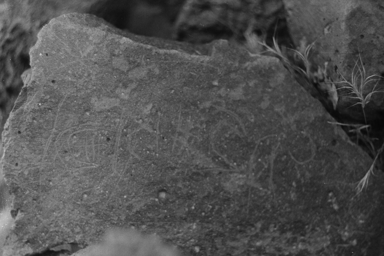 inscription of siglum CSNS 85