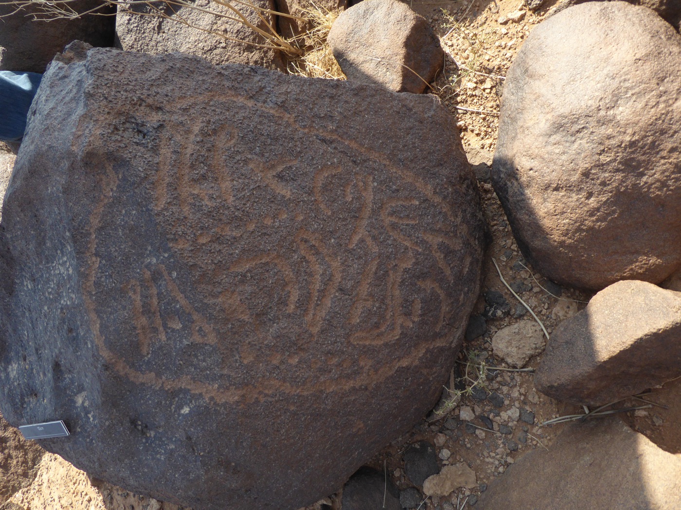 inscription of siglum CSNS 854