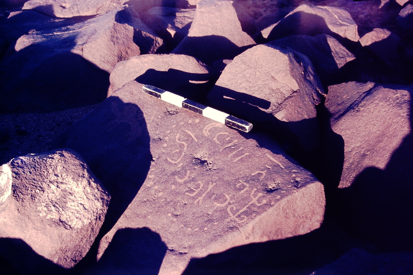 inscription of siglum CSNS 856