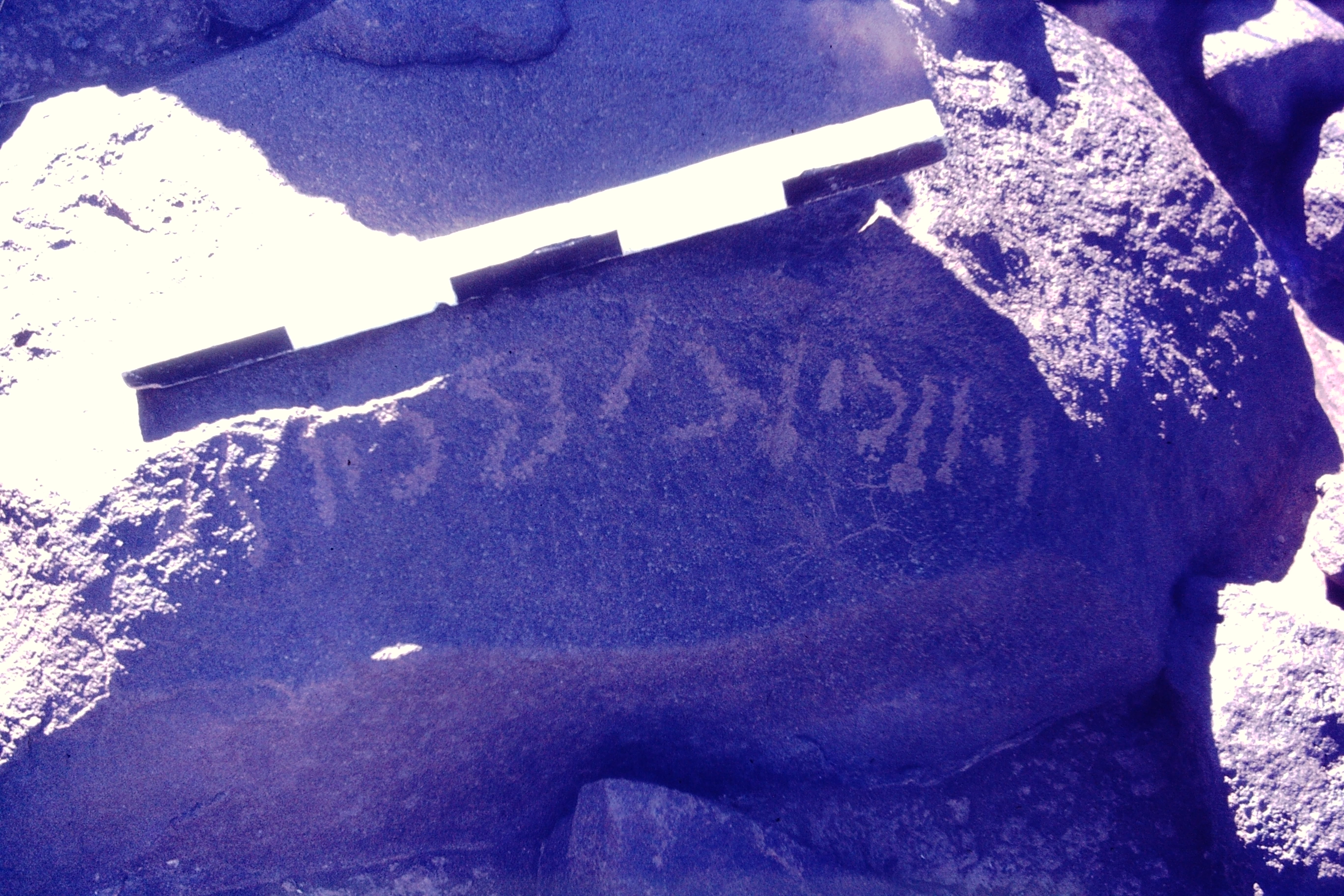 inscription of siglum CSNS 876