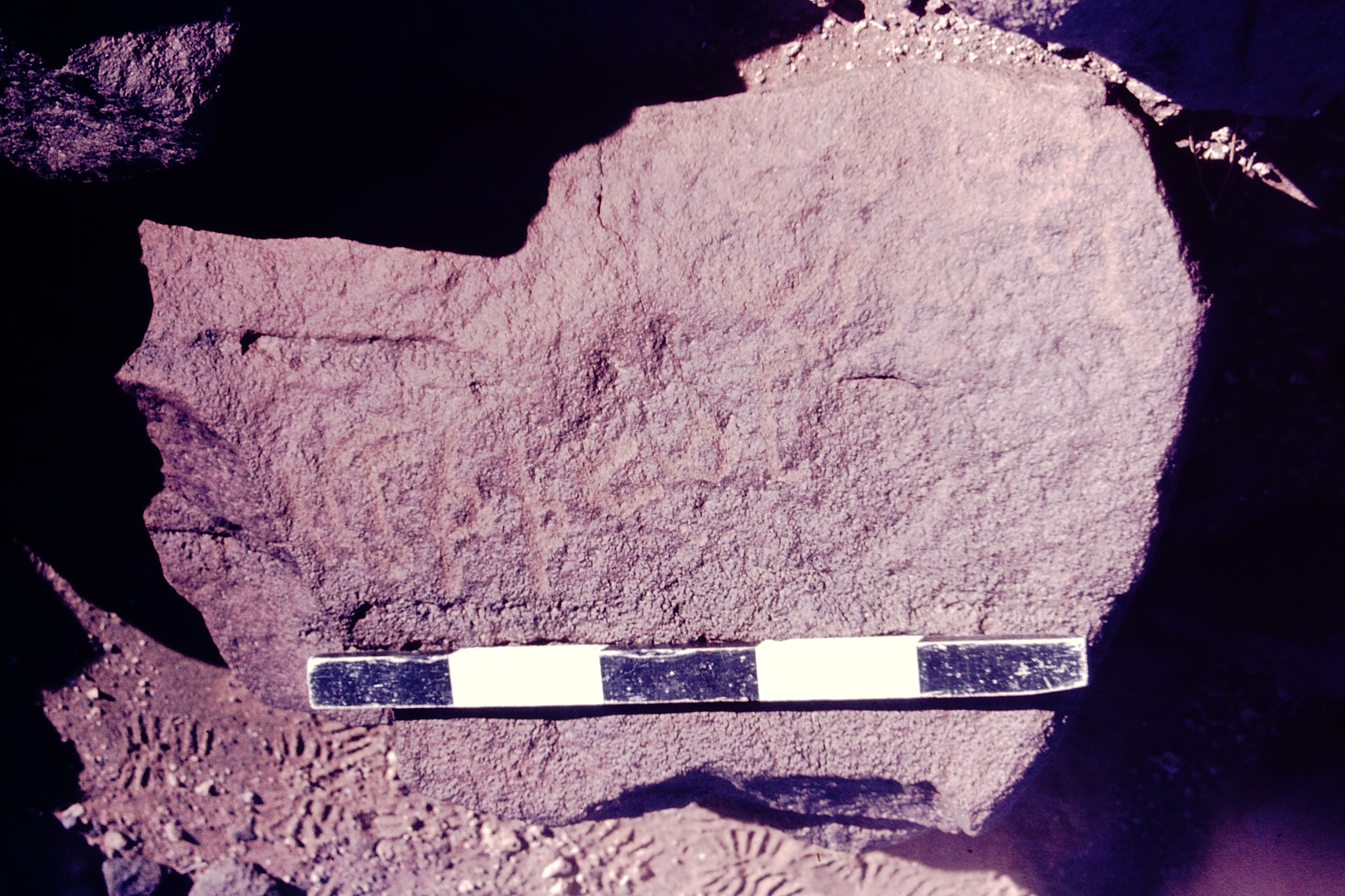 inscription of siglum CSNS 884