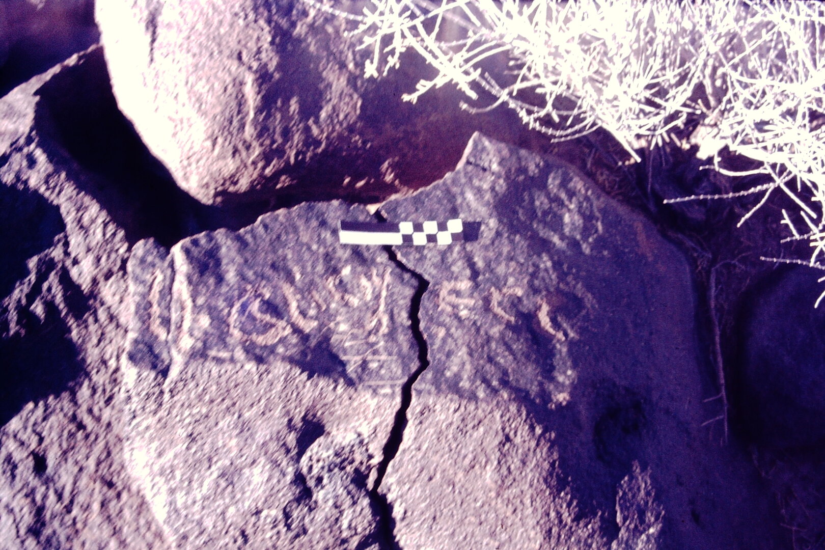 inscription of siglum CSNS 886