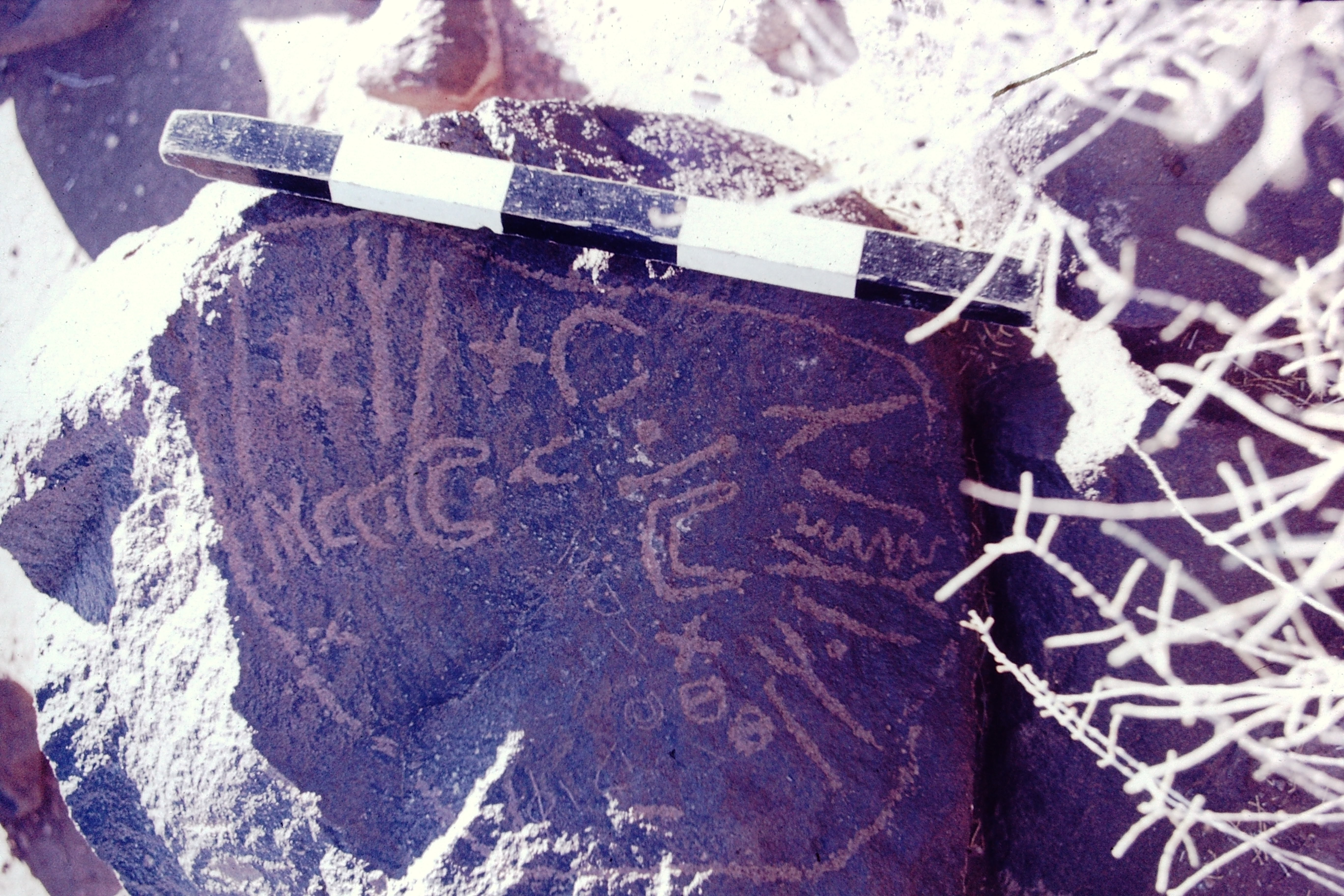 inscription of siglum CSNS 890