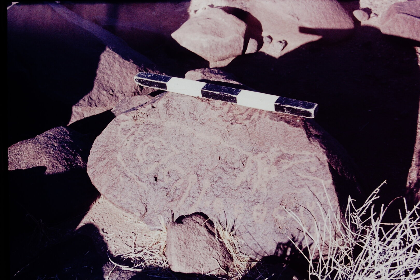 inscription of siglum CSNS 891