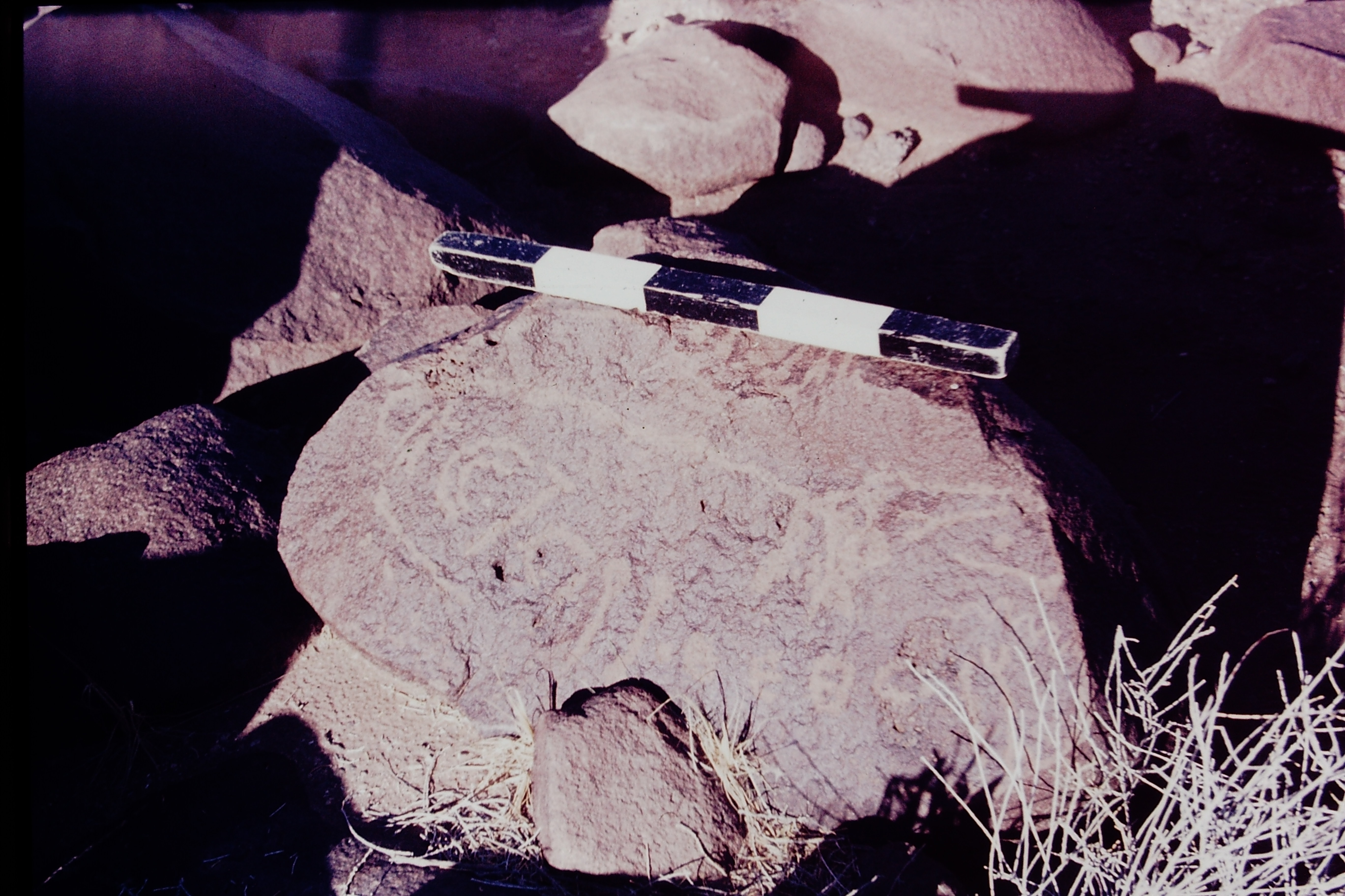 inscription of siglum CSNS 891