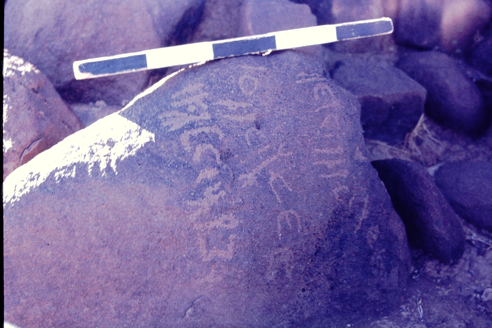 inscription of siglum CSNS 894