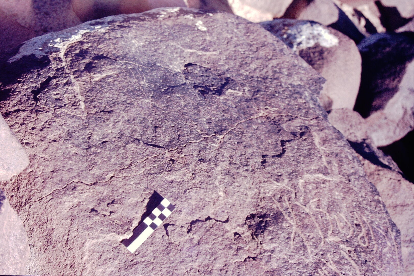 inscription of siglum CSNS 900
